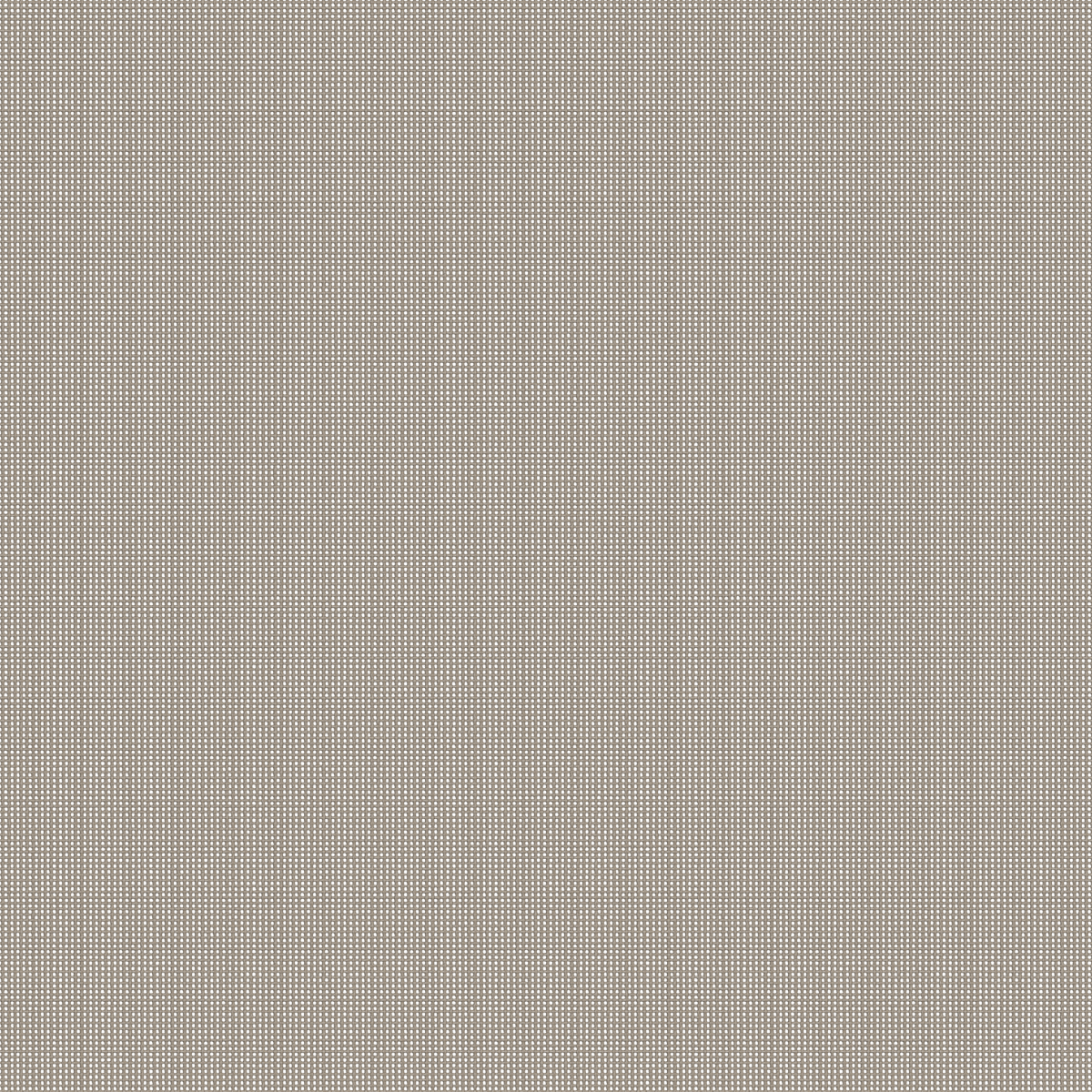 Batyline Taupe - Swatch